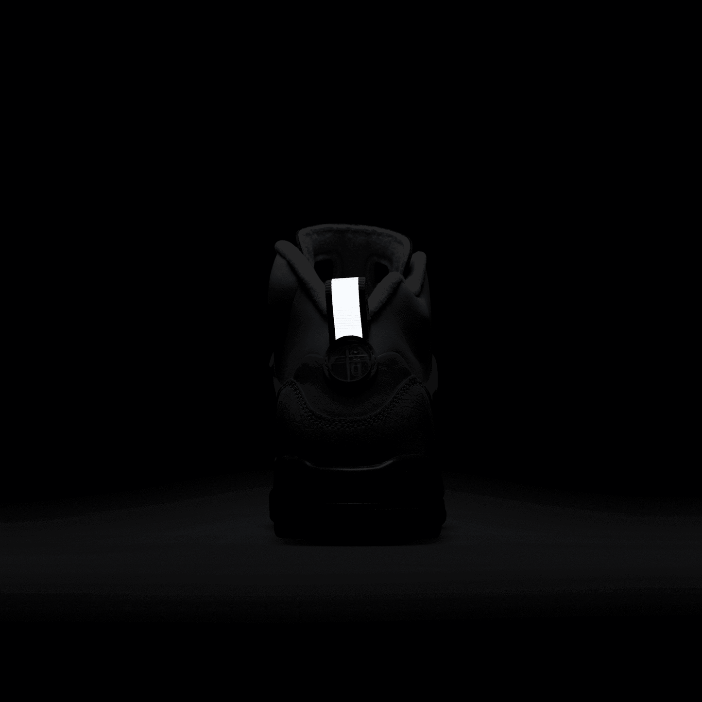 JORDAN WINTERIZED SPIZIKE (GS)