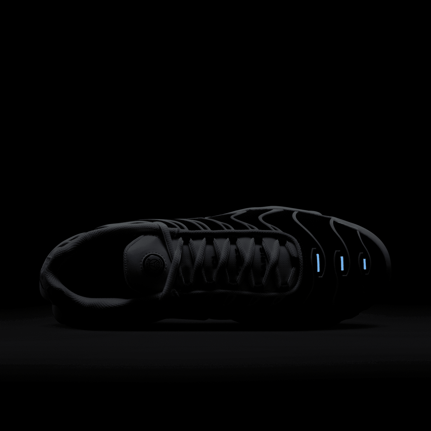 NIKE AIR MAX PLUS