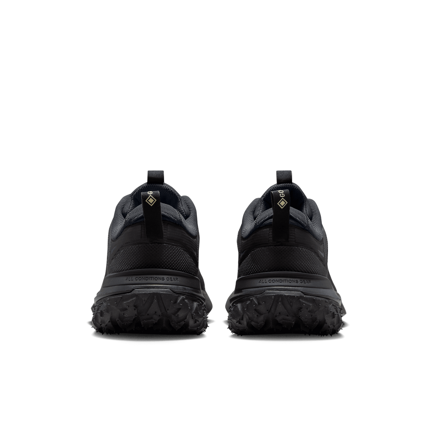 ACG MOUNTAIN FLY 2 LOW GTX