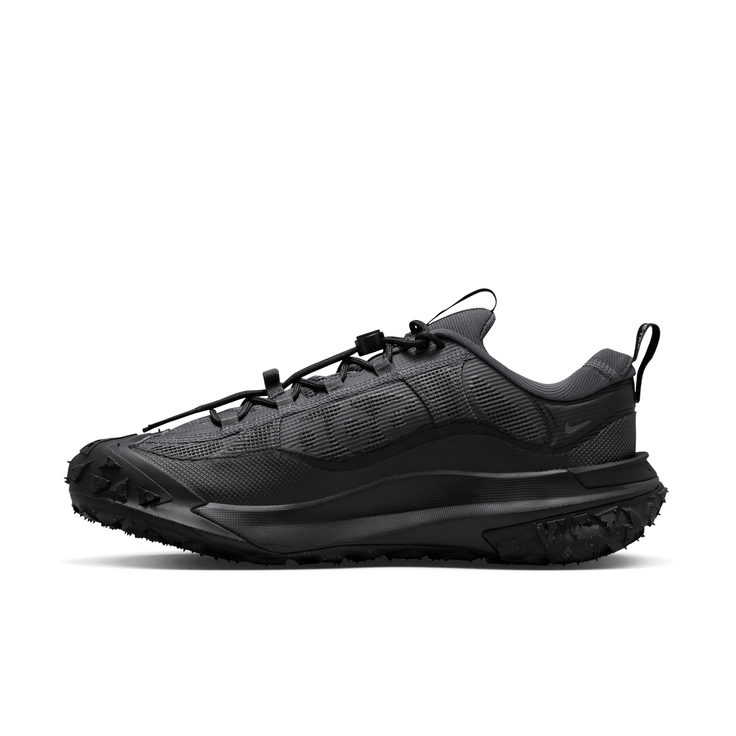 ACG MOUNTAIN FLY 2 LOW GTX