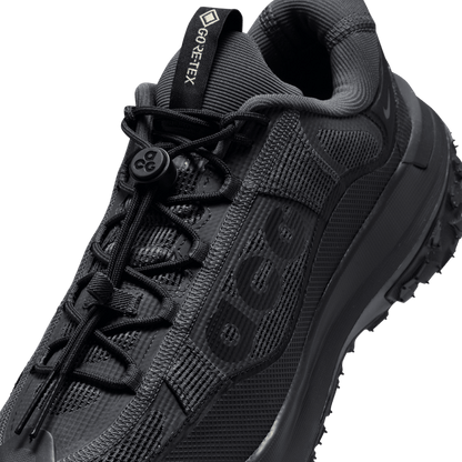 ACG MOUNTAIN FLY 2 LOW GTX