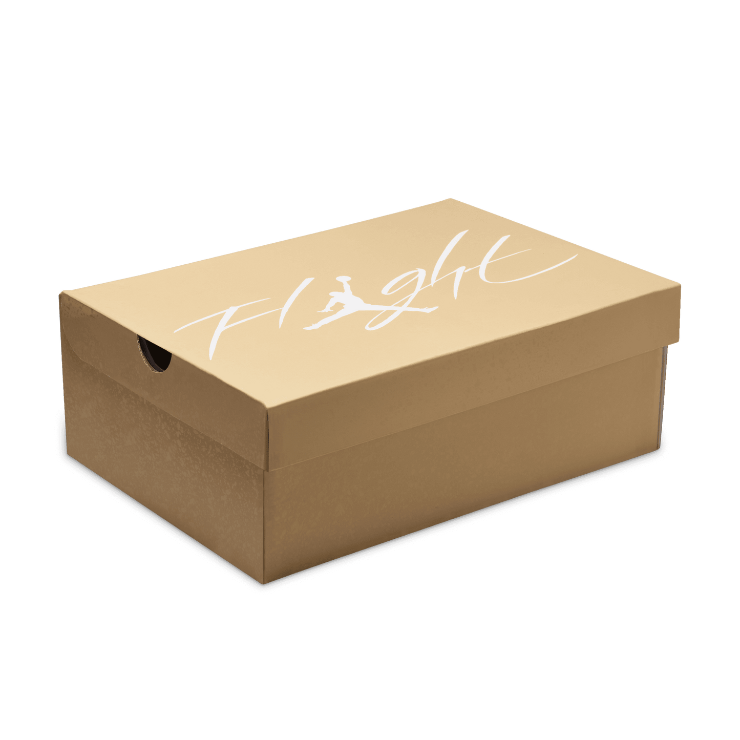 WMNS AIR JORDAN 4 RETRO