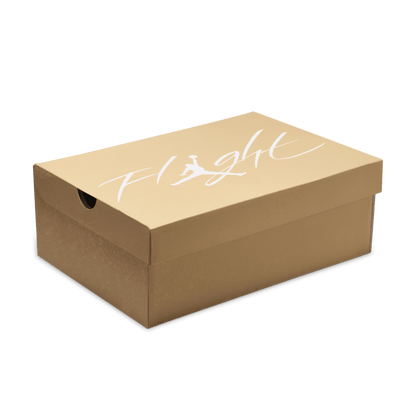 WMNS AIR JORDAN 4 RETRO