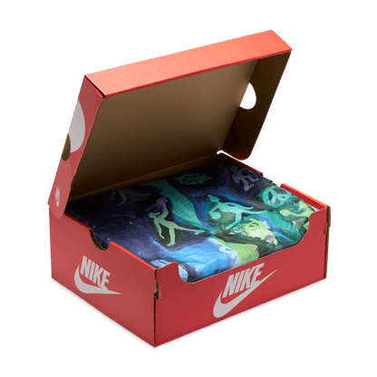 NIKE DUNK LOW AOS (GS)