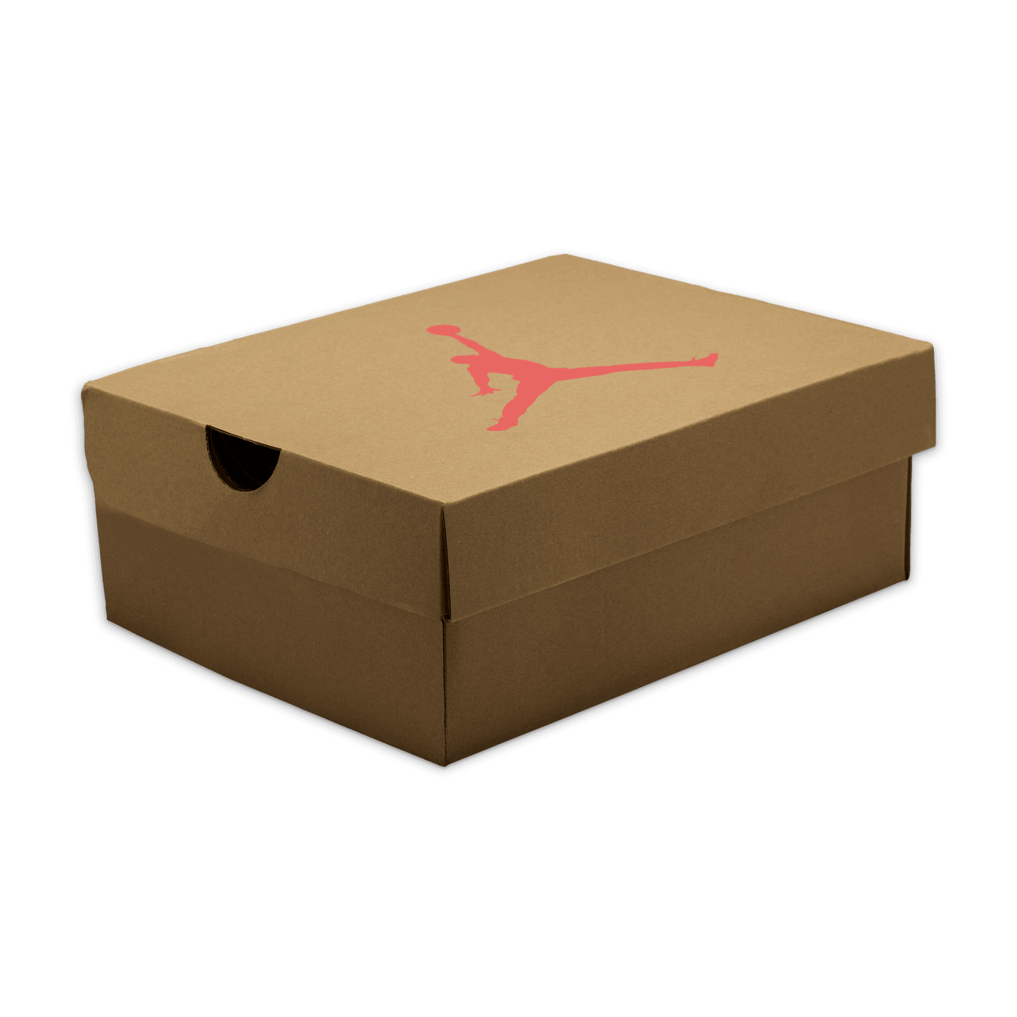 AIR JORDAN 6 RETRO (GS)