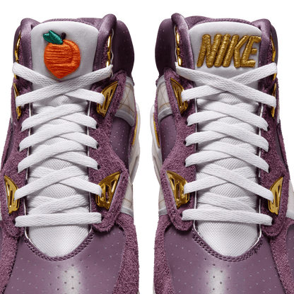 NIKE AIR TRAINER SC SP